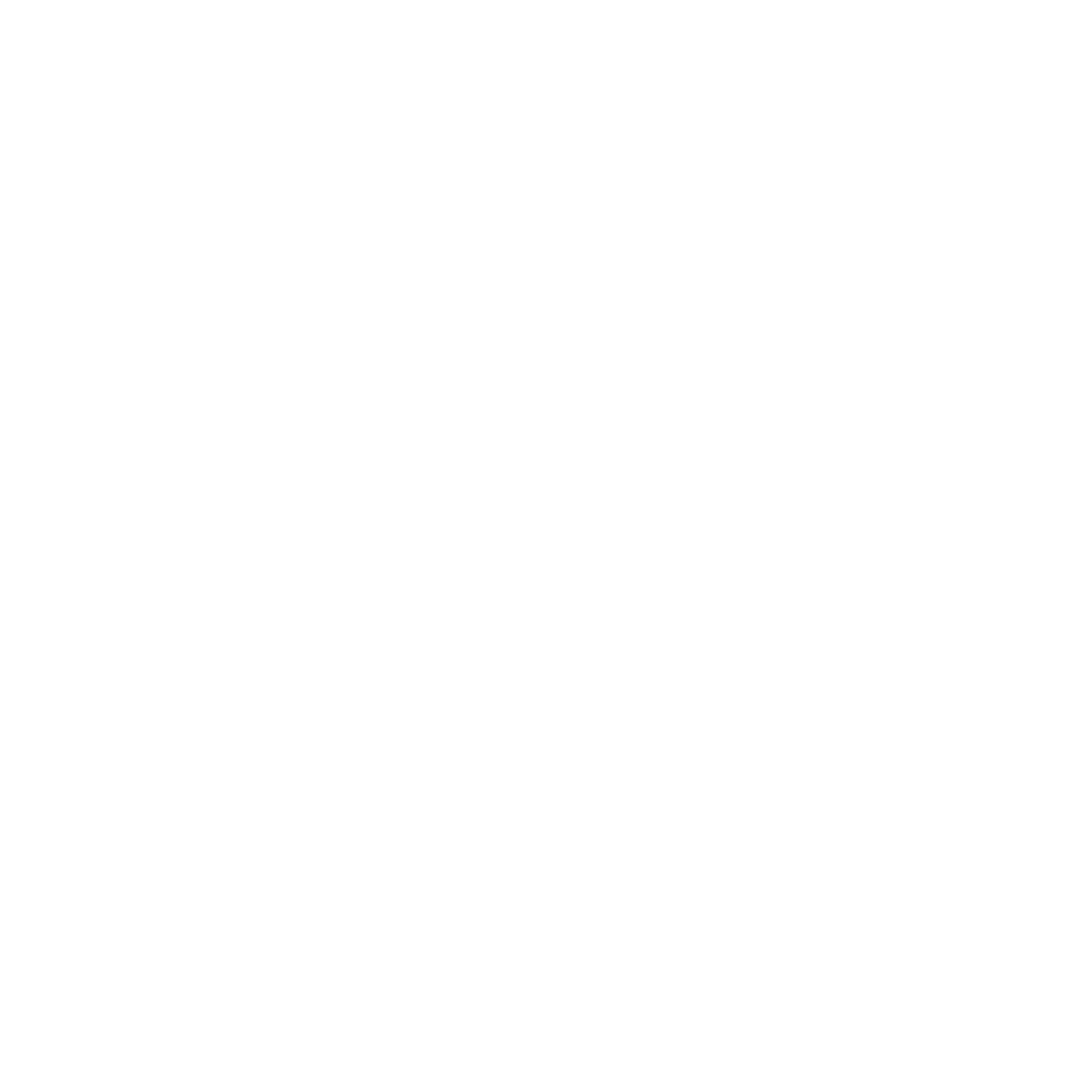 Freedom Chaser